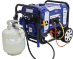 Ford 11,050 Watt Dual Fuel Portable Generator FG11050PBE